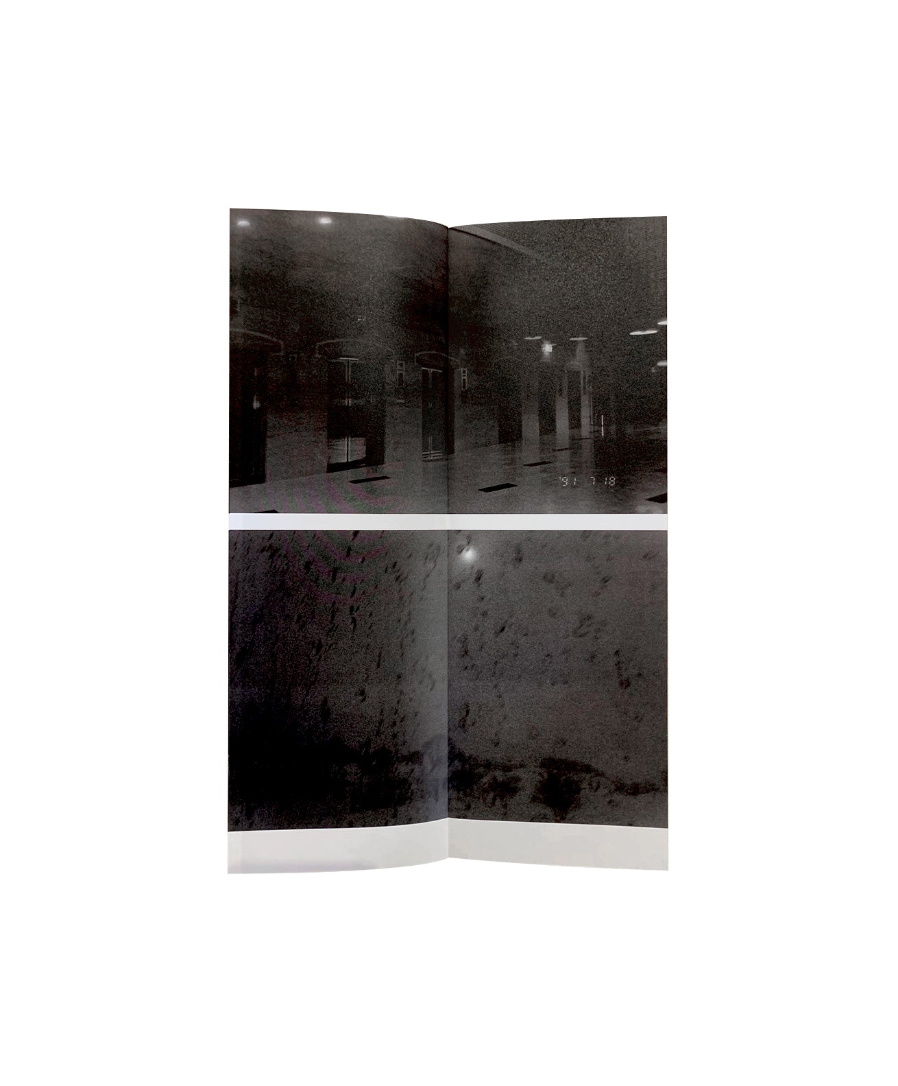 Sakiko Nomura - Fate in Spring – Galerie Écho