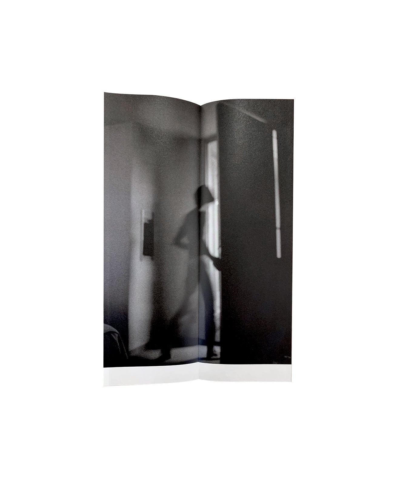 Sakiko Nomura - Fate in Spring – Galerie Écho