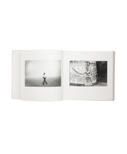 Charger l&#39;image dans la galerie, SHIGEO GOCHO - SHIGEO GOCHO WORKS