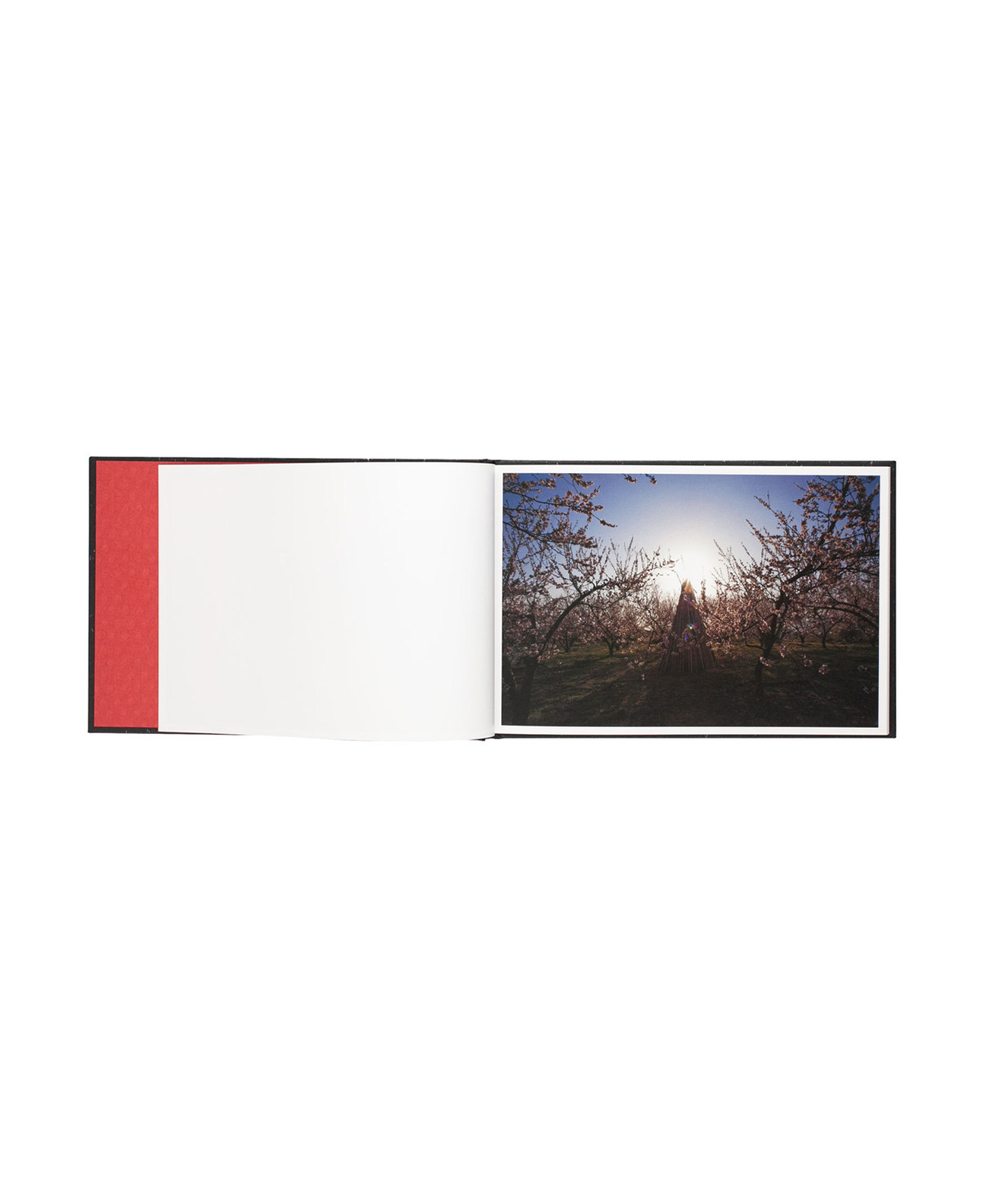 SAKIKO NOMURA - NOCTURNE (SIGNED)