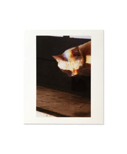 Charger l&#39;image dans la galerie, YASUSHI MORI - HEY! HATTORI (SPECIAL EDITION)