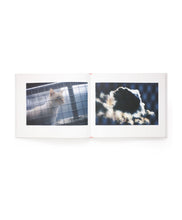 Charger l&#39;image dans la galerie, YASUSHI MORI - HEY! HATTORI (SPECIAL EDITION)