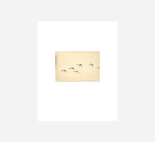 Load image into Gallery viewer, MASAO YAMAMOTO - BIRDS