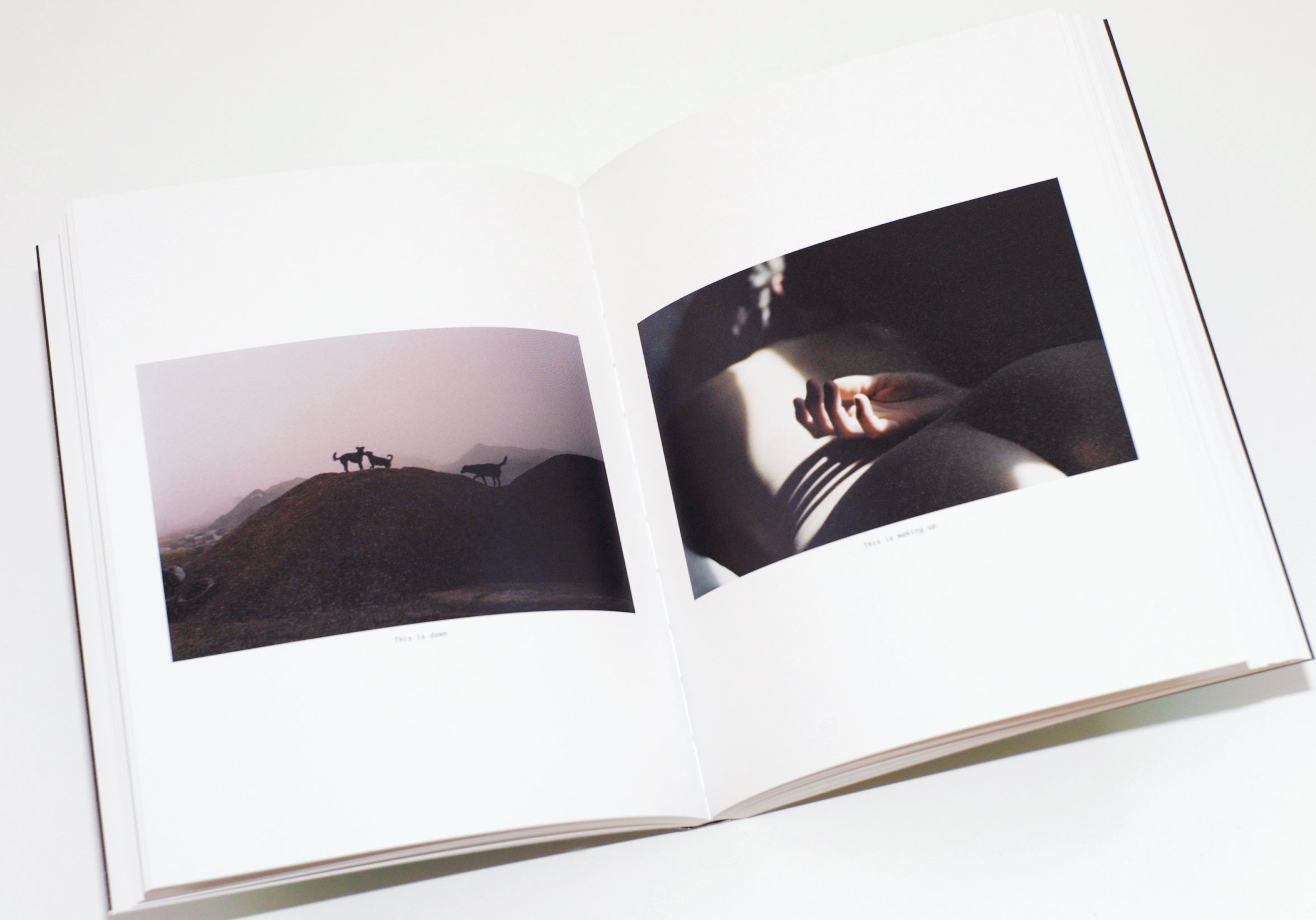 Léo Berne - For the Aliens - The Future is Stupid