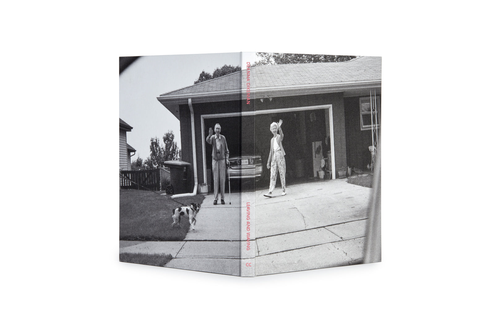 DEANNA DIKEMAN - LEAVING AND WAVING – Galerie Écho
