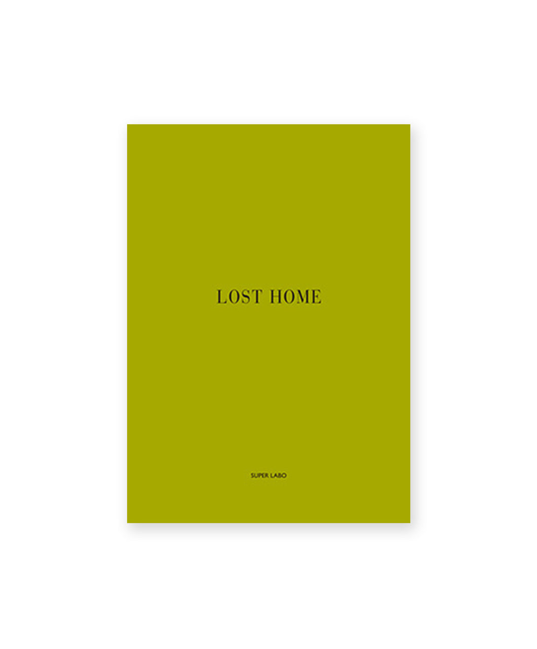 LOST HOME